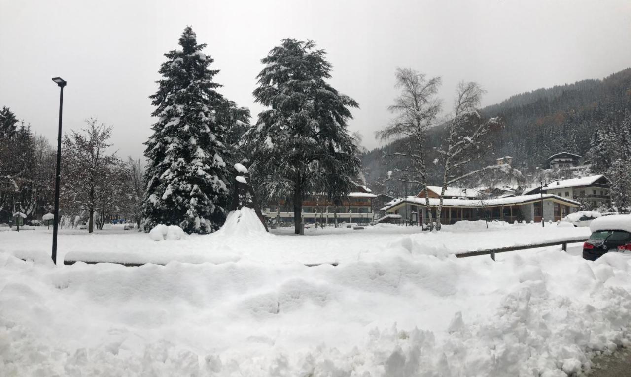 Olympic Regina Hotel Pinzolo Exterior foto