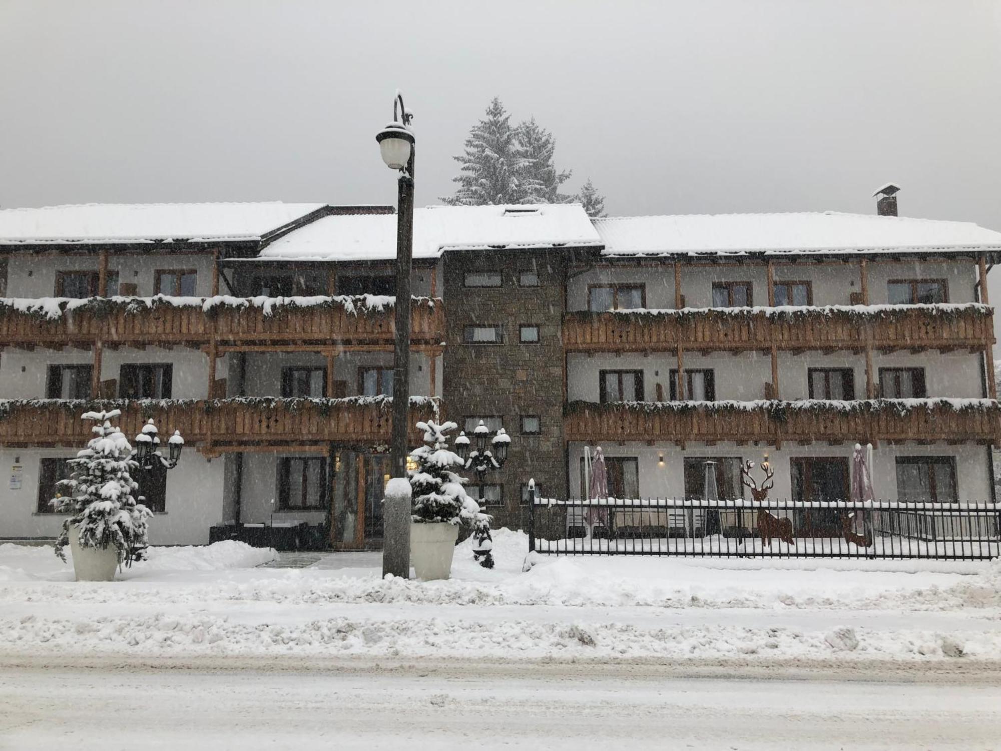 Olympic Regina Hotel Pinzolo Exterior foto